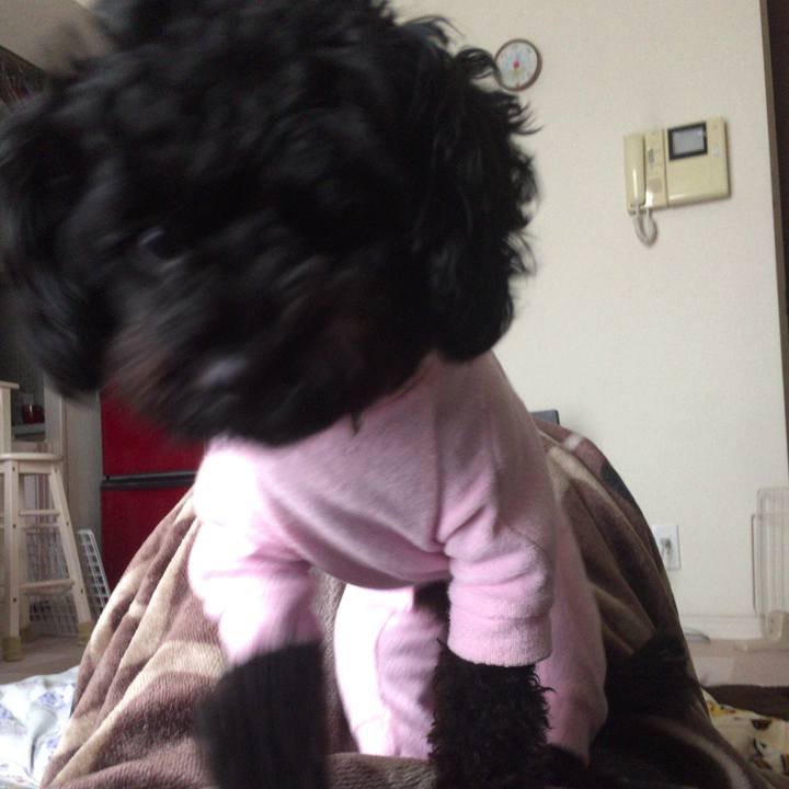 F0542094 9a56 4fe7 965b 4044f01970d6