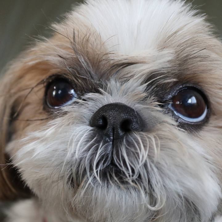 F0546452 9397 4875 87ee b336a9215d4a