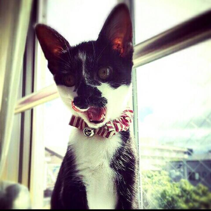 F055a2e5 dd36 44f1 8094 0a13974b43cf