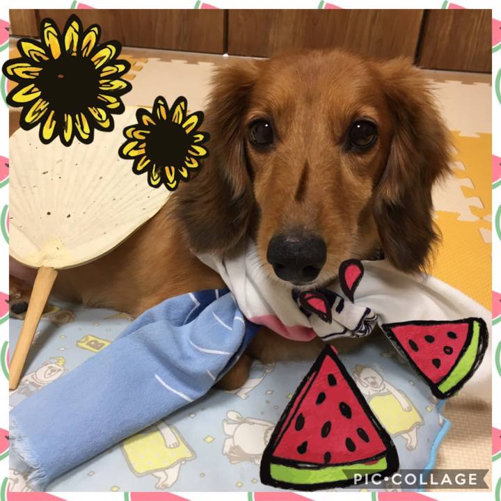 F055b02c 45be 4584 96f6 8b7404200385