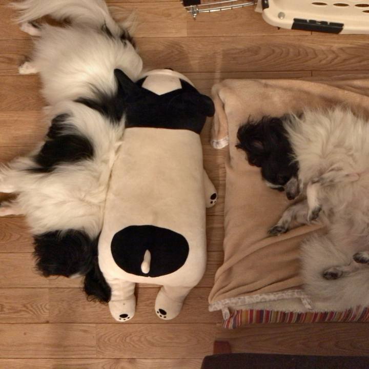 F05622c0 7d29 4048 9a62 830701b7417b