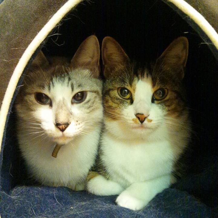 F0564837 8d03 4a74 81db 28de82d85da7