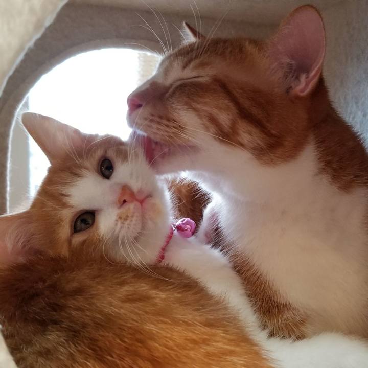 F05710f5 d62f 4d40 a694 bcb90eda8b99