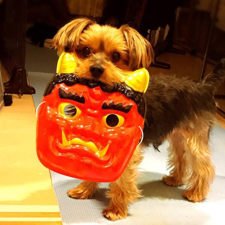 F0574b9c 273b 44be bd5e a150e5f677ec