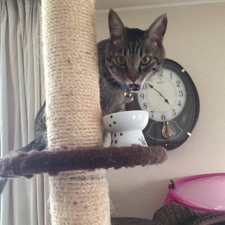 F05848a8 3cd8 47a5 9192 9b7c7d4c34ac