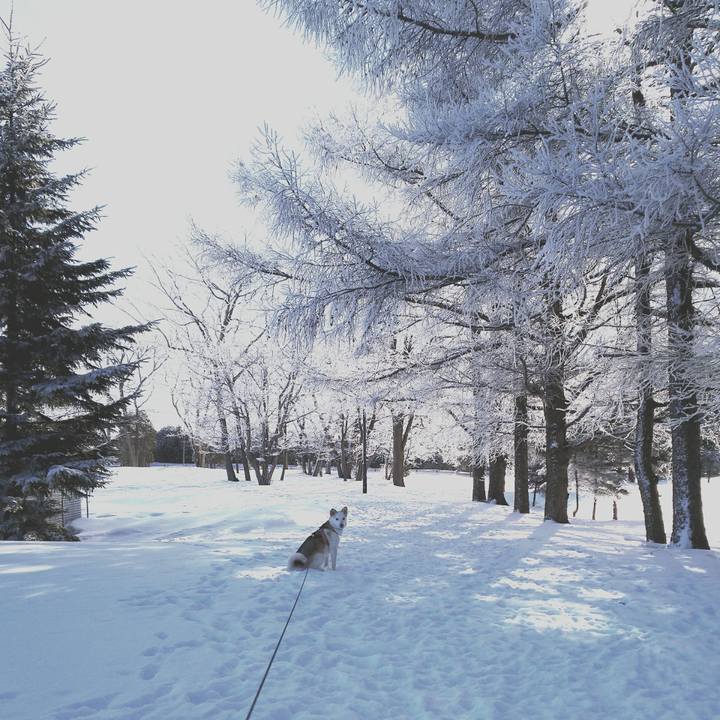 F0592bf4 124d 45da aaec 6c772806b4a4