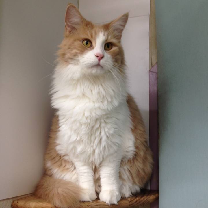 F059b286 6395 4813 8741 53d3f8fe1ad4