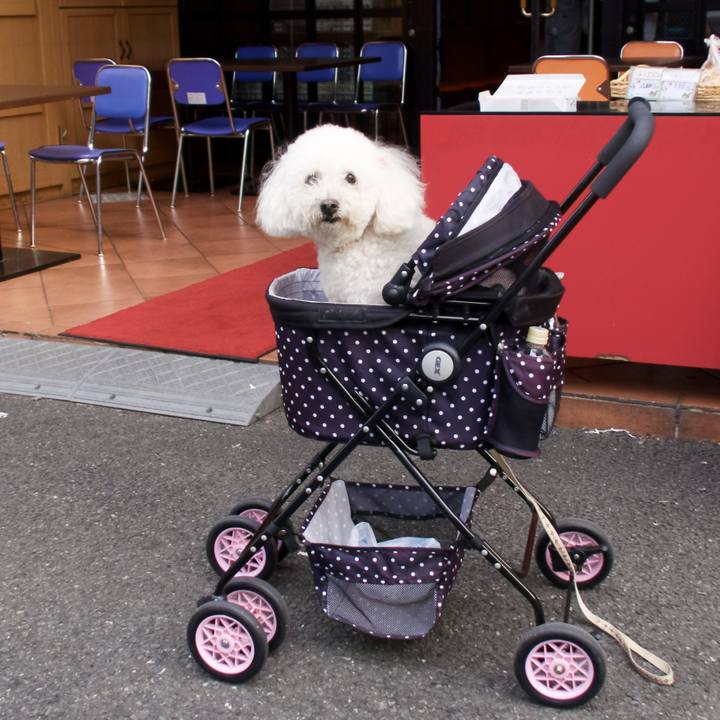 F059db67 2f5f 44c3 966b 77c2f2151cfc