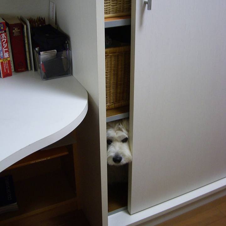 F059ee0e f9e8 4874 9c25 d61f0c7f49e3