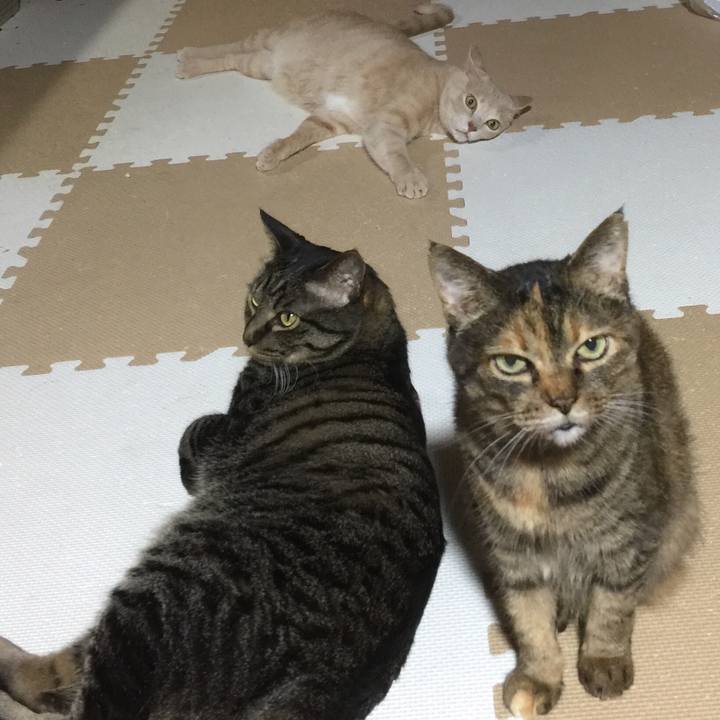 F05a35f0 b66b 486c 9264 2f53003838e9