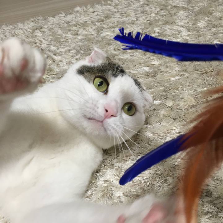 F05a40d9 cfd9 4061 90f4 917328f1c566