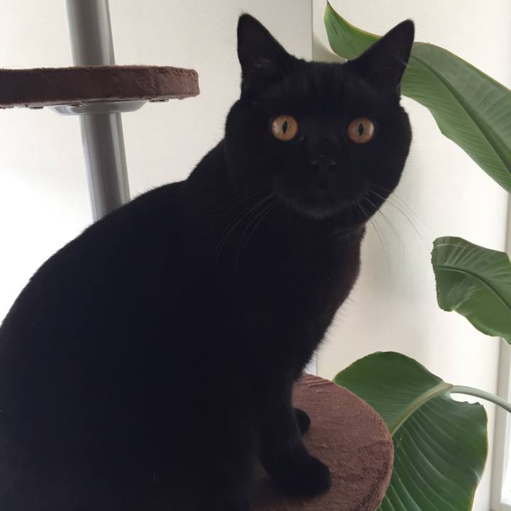 F05abfc4 5915 4b13 914b 7c4d5fda0950