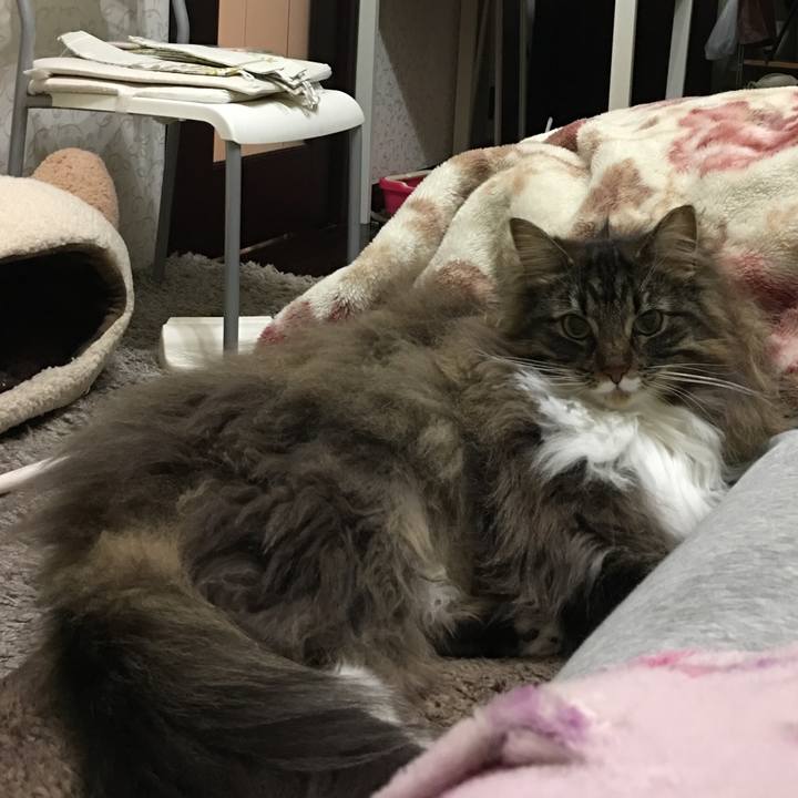 F05b3837 e61c 4a7a 8d3e 8934e00ff6de