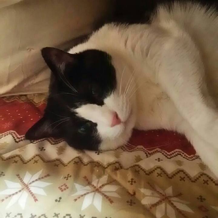 F05ba8c3 1638 454f 85ac ac862e259479