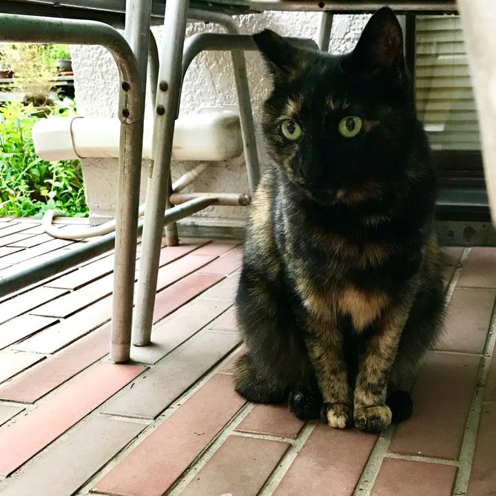 F05bd93b 82d7 4ca1 9b9b 204daa4616d9