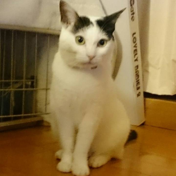 F05bea29 15be 4e94 bd5d 42b19386a48f