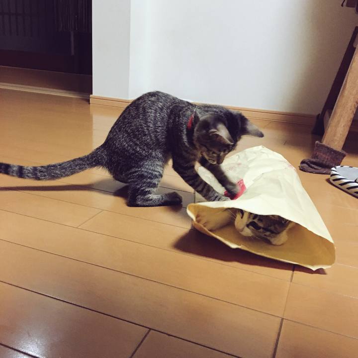 F05c4116 3c8d 4f9f 8325 07f476724a47