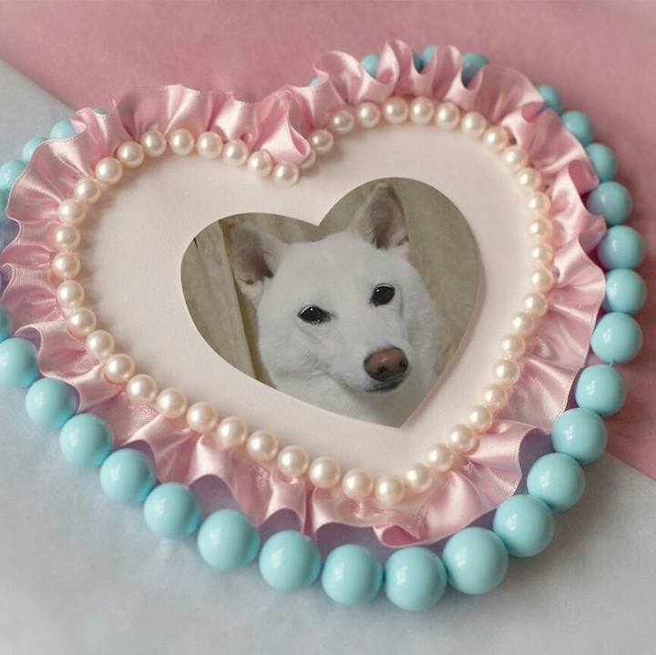 F05c8652 6812 4903 8337 45da50838a0a