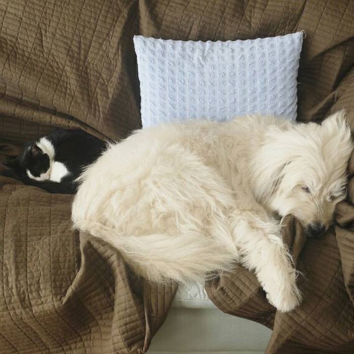 F05c8a68 7d17 499f ade4 90cb15e53db0