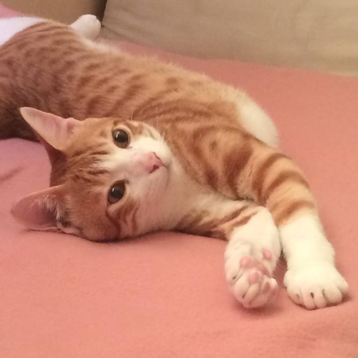 F05db279 dbe6 42ad a6e6 d84d79741459