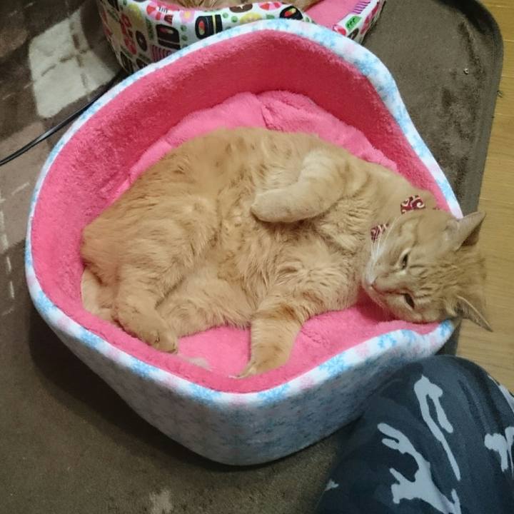 F05de22a a87d 444d a3c6 3922dbaaf43e