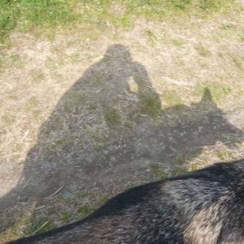 F05de4ad 6241 4452 ab02 f45c16c143ac