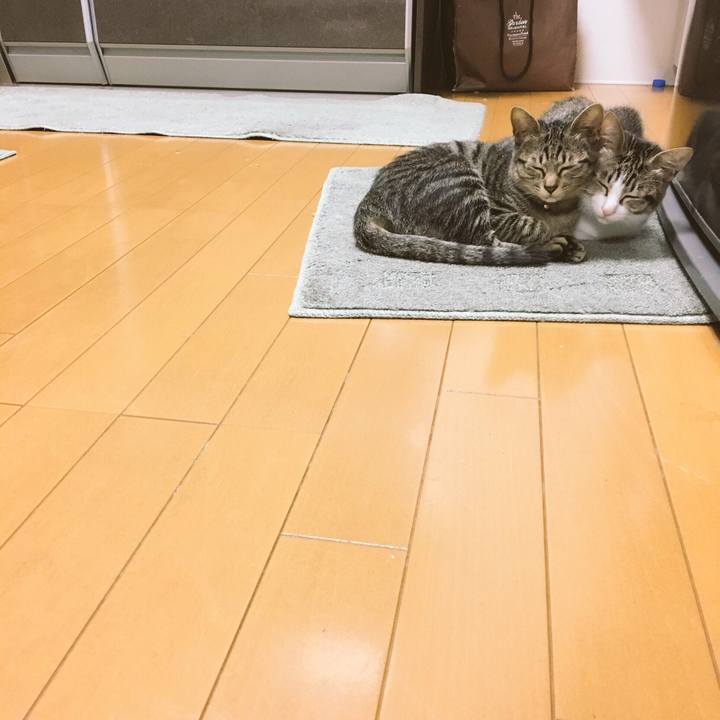 F05de9cd bb94 475b b557 8585afadd25d