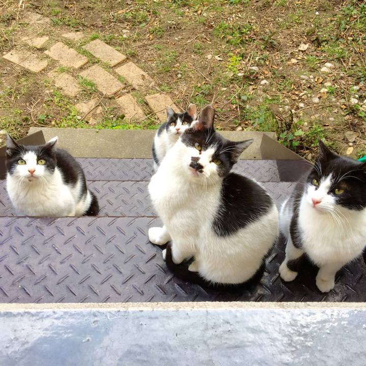 F05df8ed d3dc 475e 969e a58f5699481f