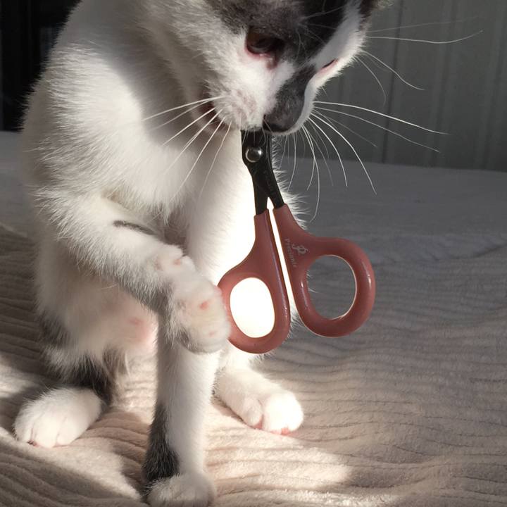 F05e0011 fc3e 4041 810b fdc0c0385a68