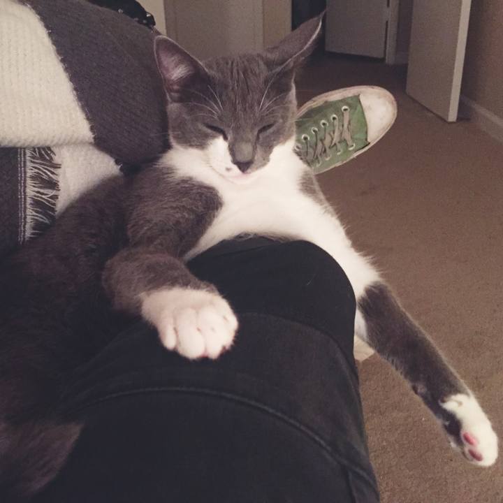 F05e2198 3aac 4603 9274 2bd0713cf4cd