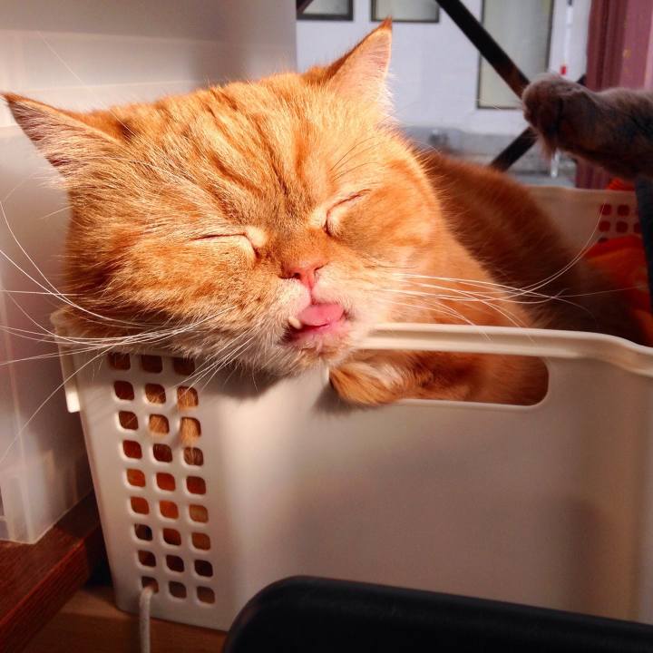 F05e2e36 4522 4c86 9c52 770d7d98313c