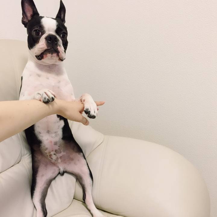 F05e4871 264c 4dec 85c6 877b3ff4e011