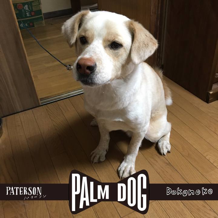 F05e70a8 7b41 47d5 957b bcf750ad03cc