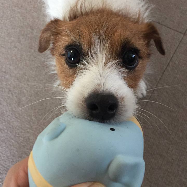 F05edd3e 4ee8 42a6 8d28 3d64ddc47037