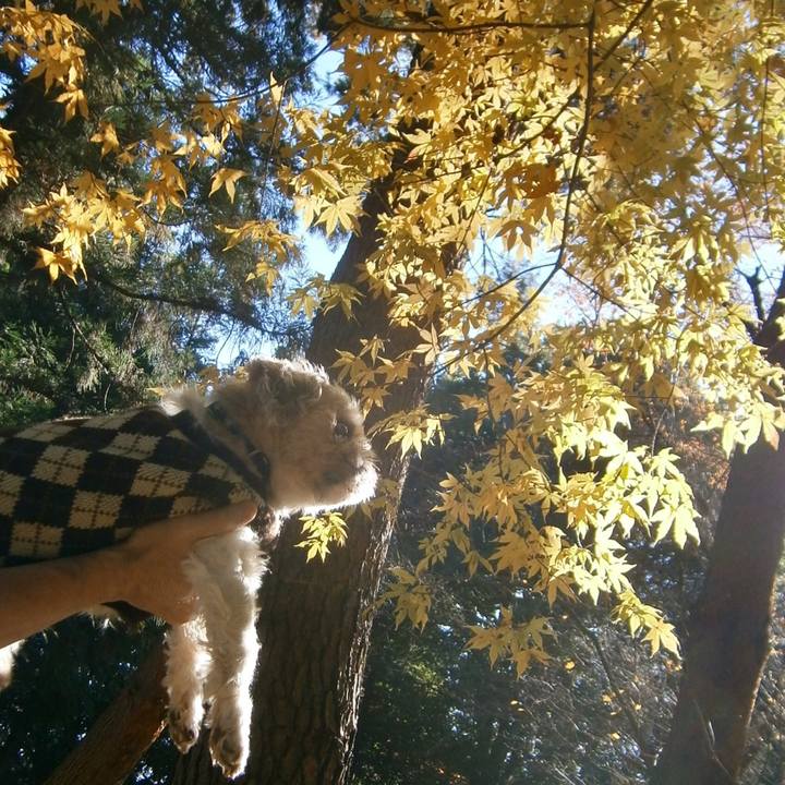 F05eed49 060b 4953 aeb6 ee2db81f18da