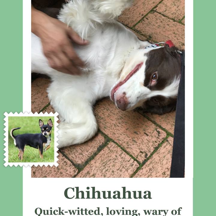 F05ef621 2a86 4246 a889 15d190f85715