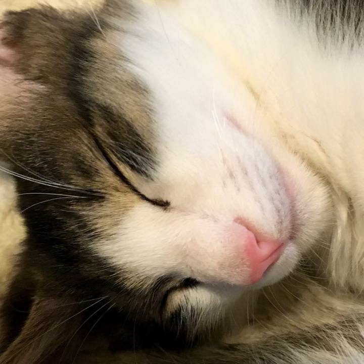 F05f0c9b 683d 4cbb 8663 4770b6e17780