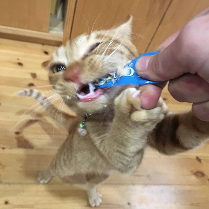 F05f3516 3909 41b9 b0ac bdd0968c70c5