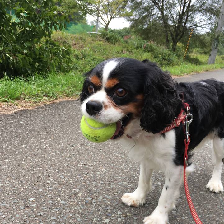 F05f5fe5 079a 4245 beaf 0809063d17d9