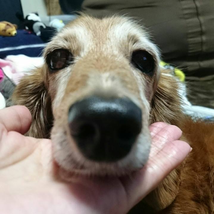 F05f887c c1fc 467a a2a5 b99f4343a17b