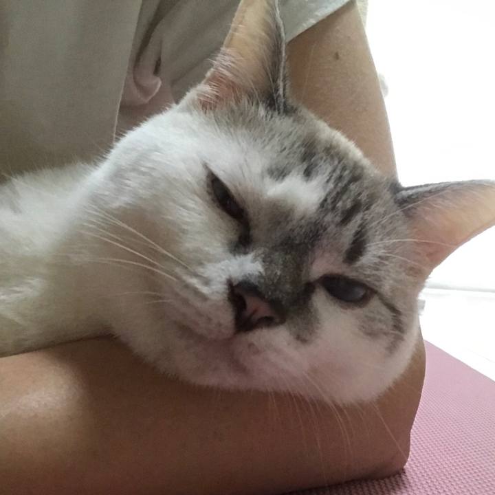 F05fa2b7 0e3f 45a9 876e 8dd89722bfa2