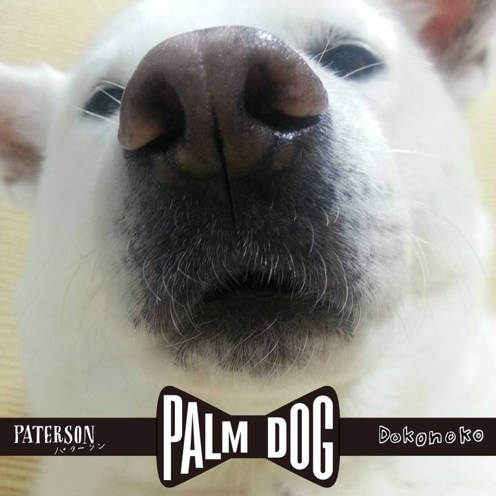 F05fd61e 52e7 417a 92e3 91438c2b237f