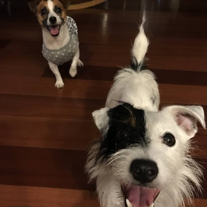 F060042b ba9d 4794 a104 48f85841b08c