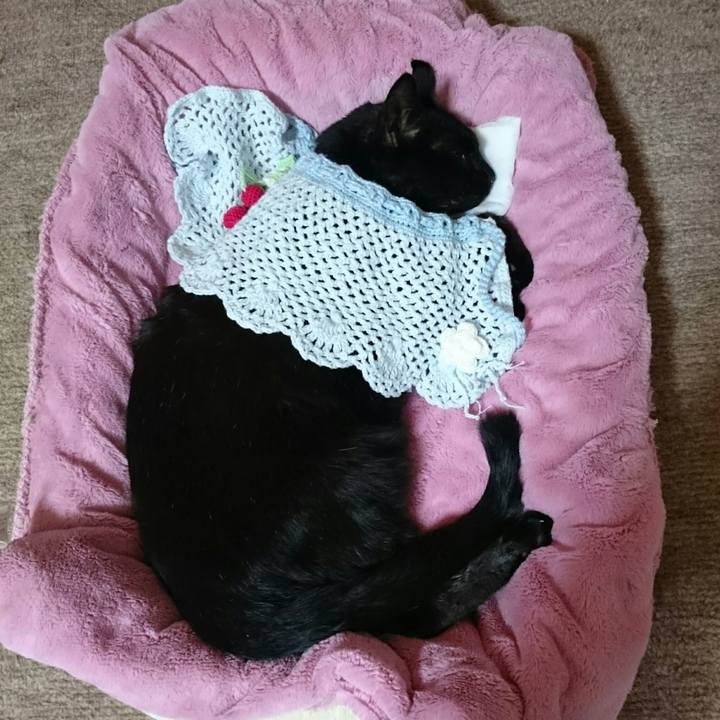 F06013f4 b23d 44be 95f5 aed418415868