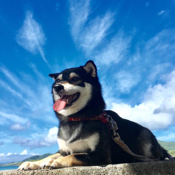 F060ab03 c40d 4e7f ad71 45021cfd3418