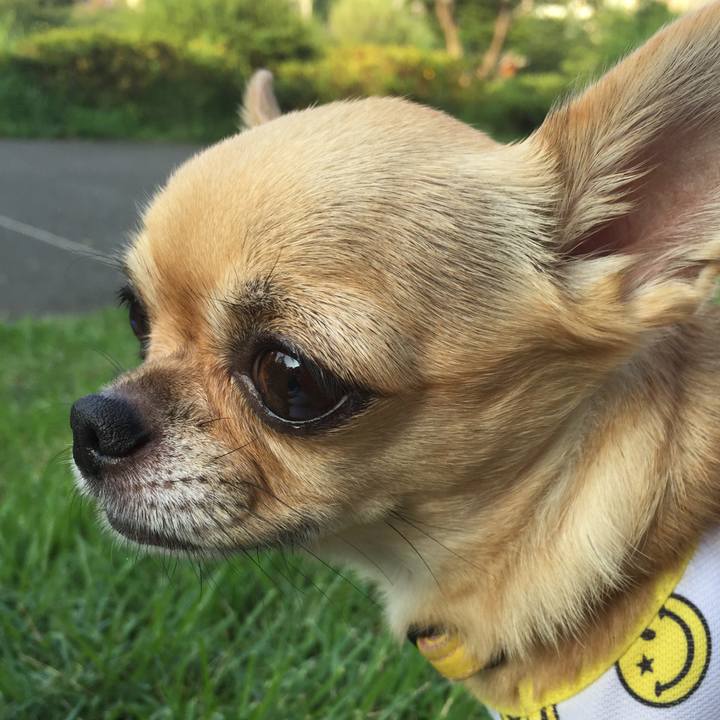 F060ee14 39c4 4355 9582 c114bb40d2bf