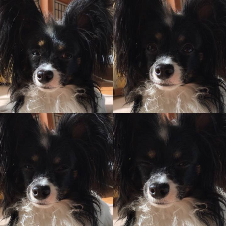 F06160e4 fc8a 45fc 9a7a eae0c77ebd73