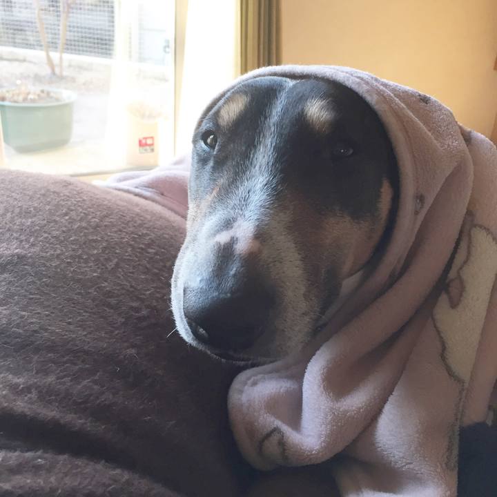 F061a841 bb6c 4dce 8e39 59f611262f81