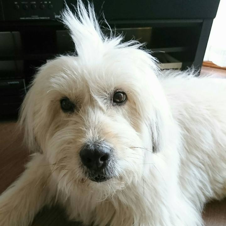 F062629a 3670 4437 ac2f 1a53583f5cb5