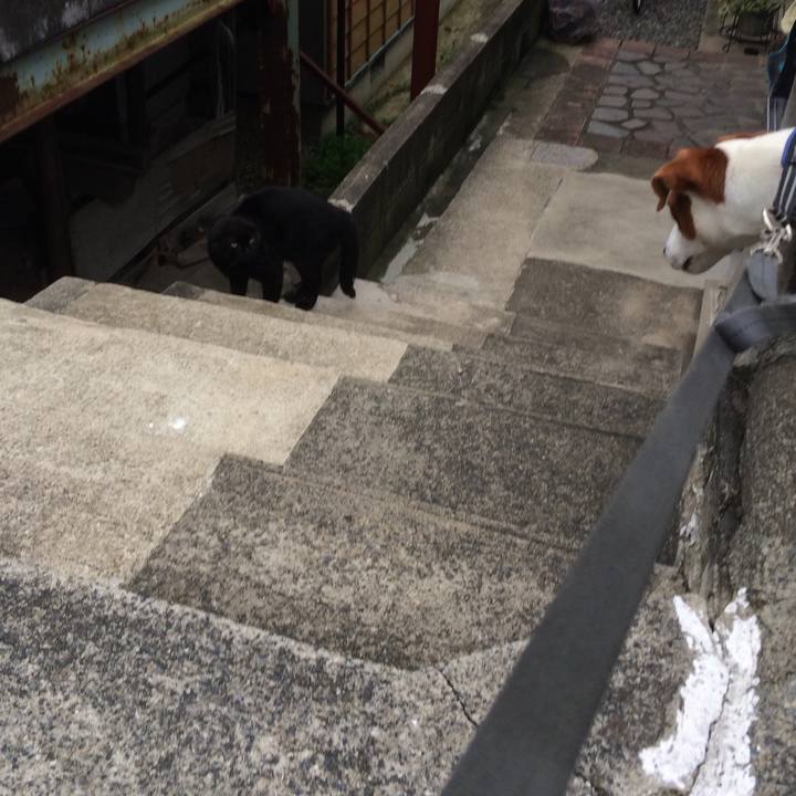 F0626444 f436 47f6 9e8c 608664970f96